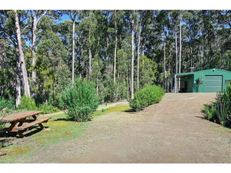 12 Lyndal Drive, Eaglehawk Neck TAS 7179