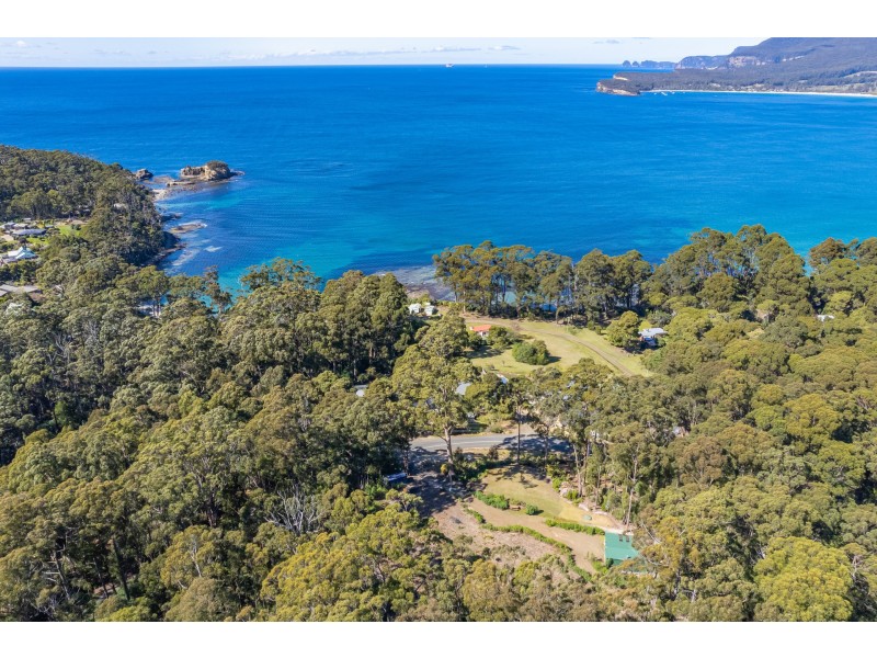 12 Lyndal Drive, Eaglehawk Neck TAS 7179