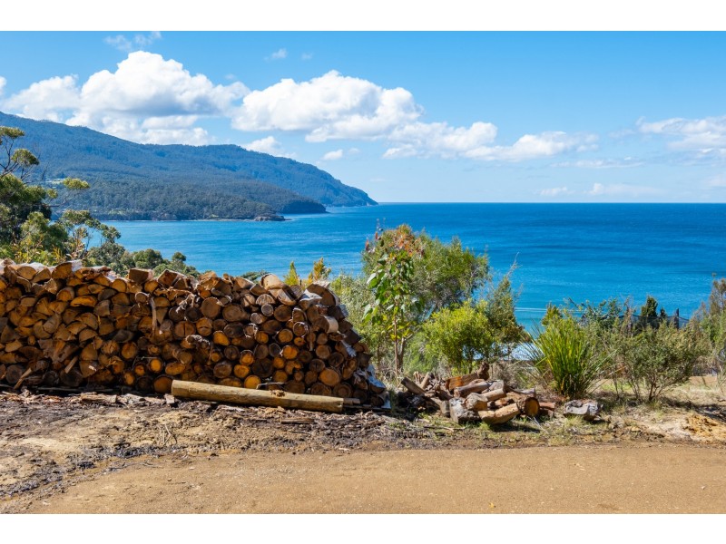 84A Blowhole Road, Eaglehawk Neck TAS 7179