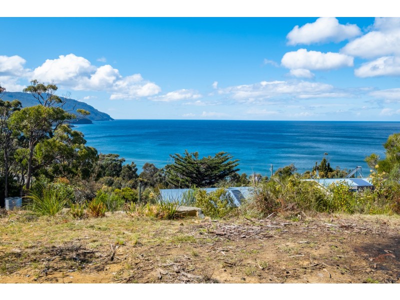 84A Blowhole Road, Eaglehawk Neck TAS 7179