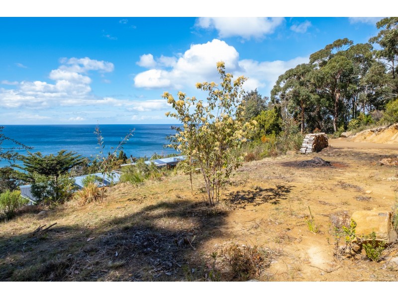 84A Blowhole Road, Eaglehawk Neck TAS 7179