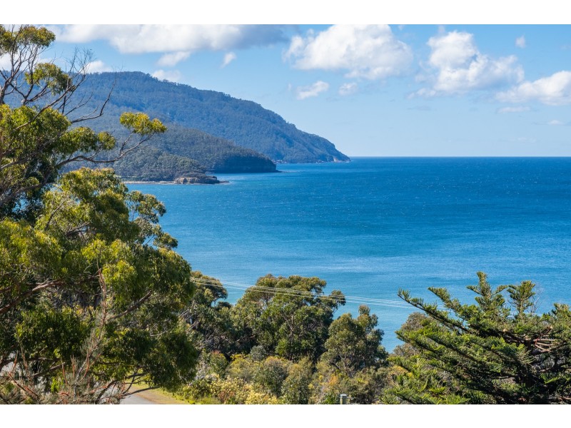 84A Blowhole Road, Eaglehawk Neck TAS 7179