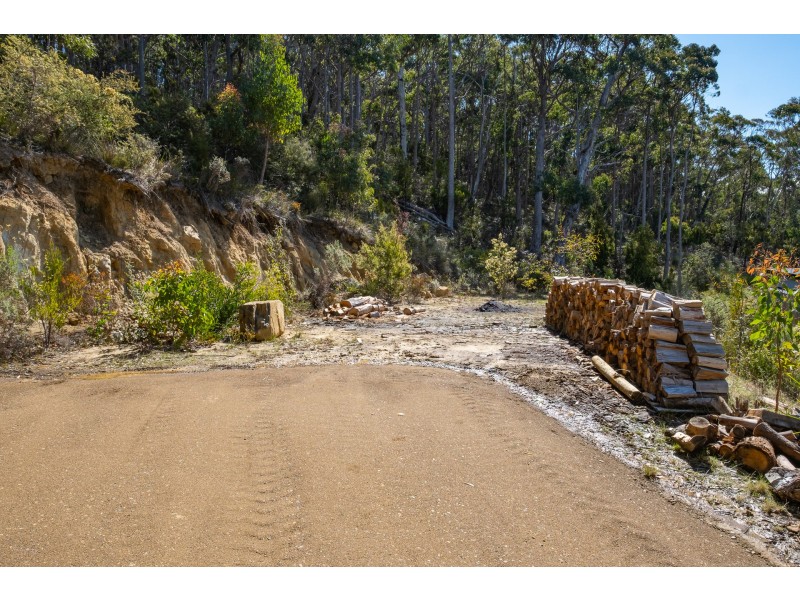 84A Blowhole Road, Eaglehawk Neck TAS 7179