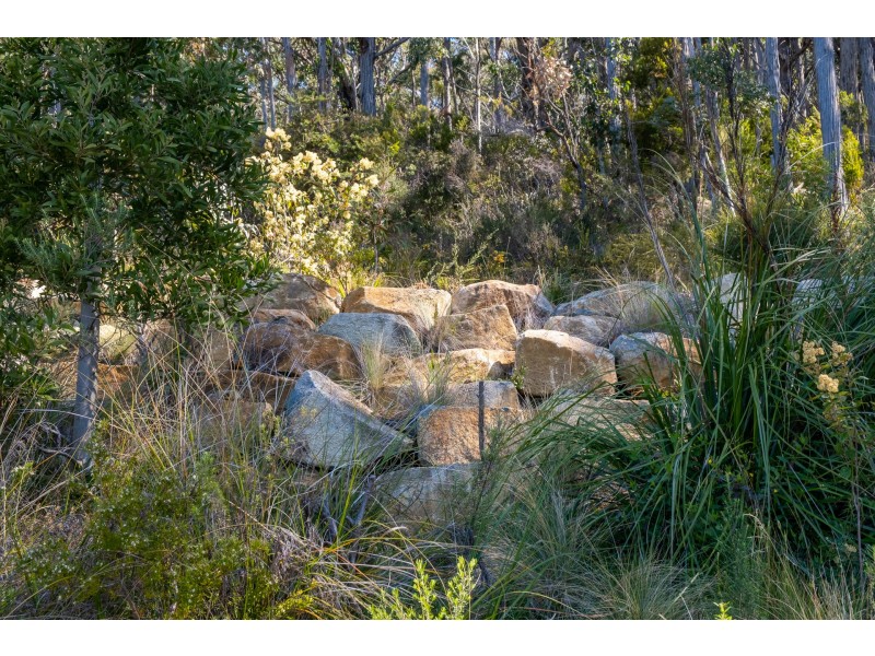 84A Blowhole Road, Eaglehawk Neck TAS 7179