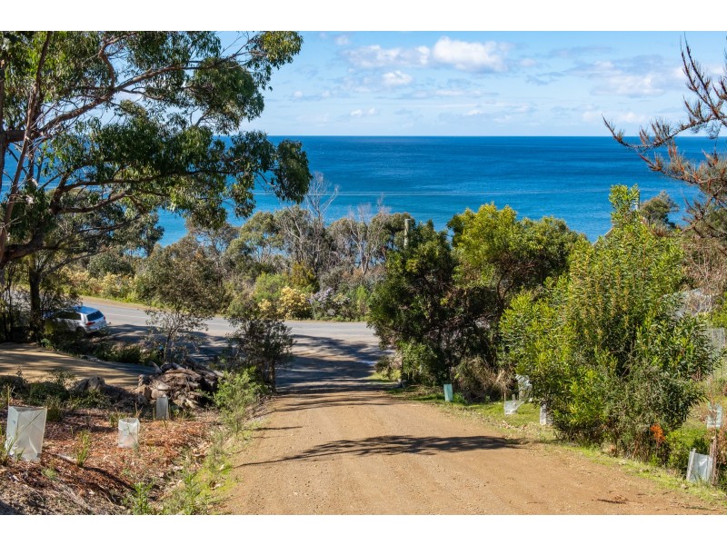 84A Blowhole Road, Eaglehawk Neck TAS 7179