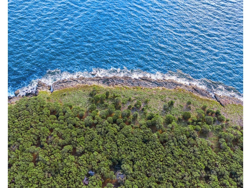 “Carlton Bluff” Brown Hawk Road, Primrose Sands TAS 7173