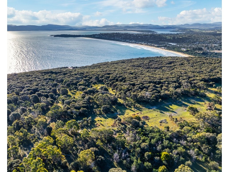 “Carlton Bluff” Brown Hawk Road, Primrose Sands TAS 7173
