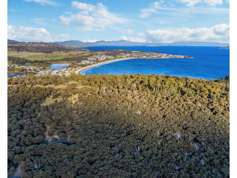 “Carlton Bluff” Brown Hawk Road, Primrose Sands TAS 7173