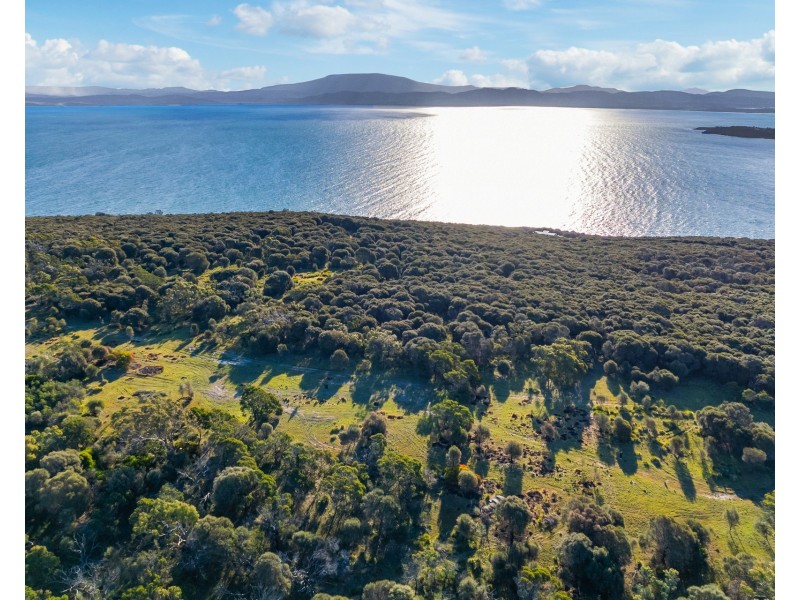 “Carlton Bluff” Brown Hawk Road, Primrose Sands TAS 7173