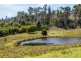 Lot 2 2526 Arthur Highway, Copping TAS 7174