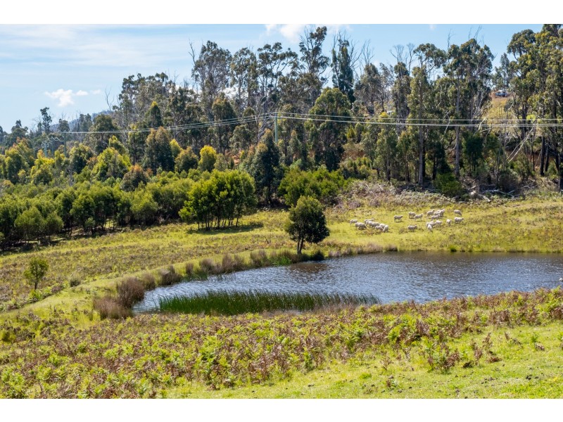 Lot 2 2526 Arthur Highway, Copping TAS 7174