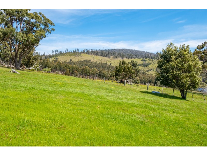 Lot 2 2526 Arthur Highway, Copping TAS 7174