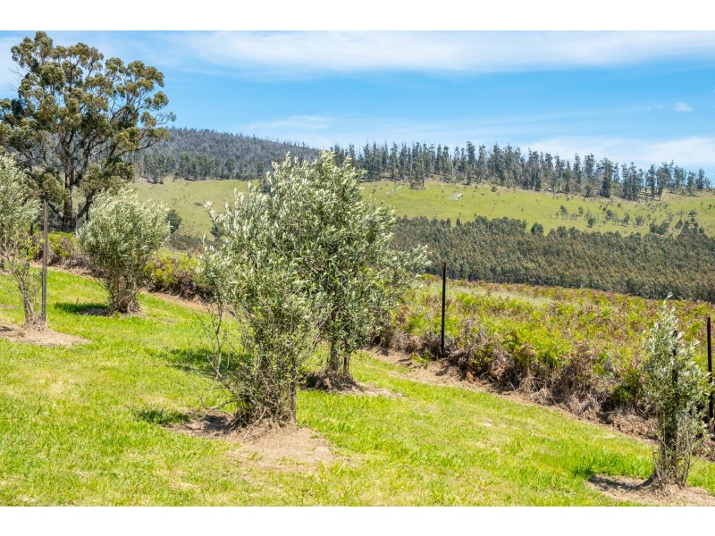 Lot 2 2526 Arthur Highway, Copping TAS 7174
