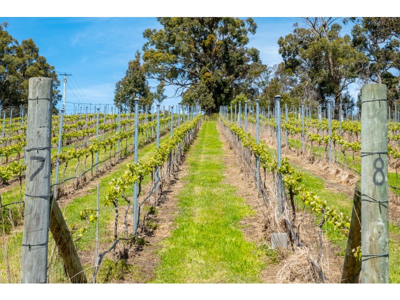 Lot 2 2526 Arthur Highway, Copping TAS 7174