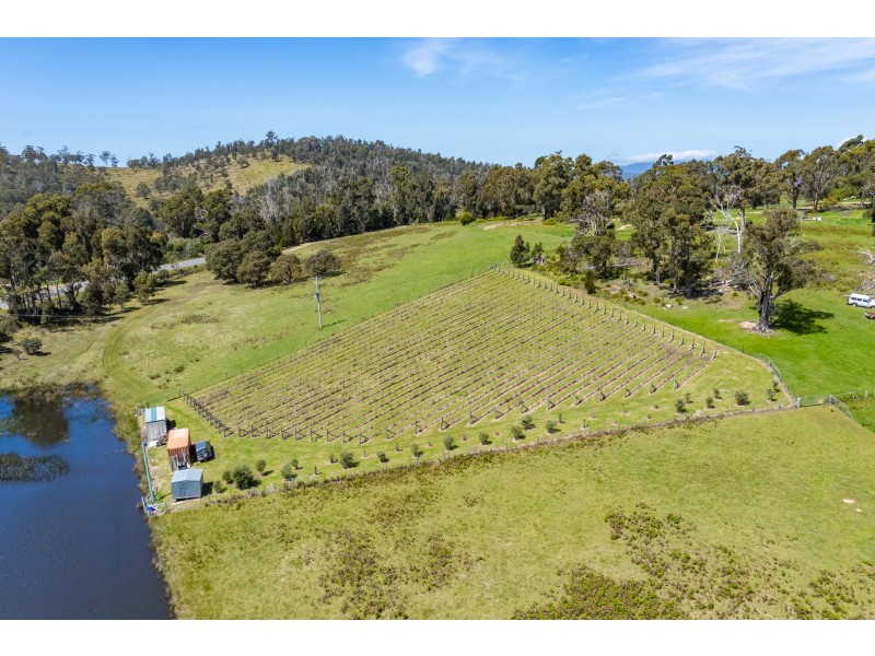 Lot 2 2526 Arthur Highway, Copping TAS 7174