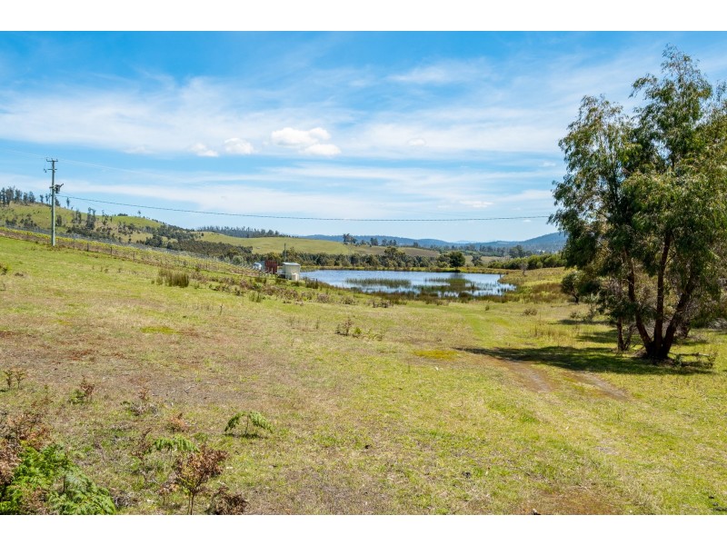 Lot 2 2526 Arthur Highway, Copping TAS 7174