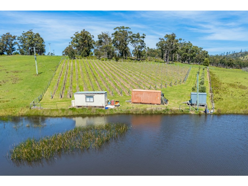 Lot 2 2526 Arthur Highway, Copping TAS 7174