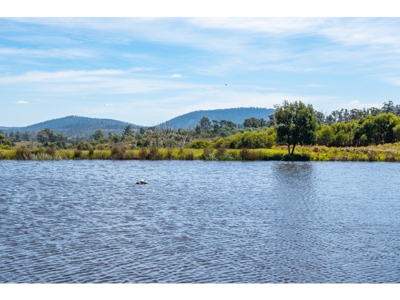 Lot 2 2526 Arthur Highway, Copping TAS 7174