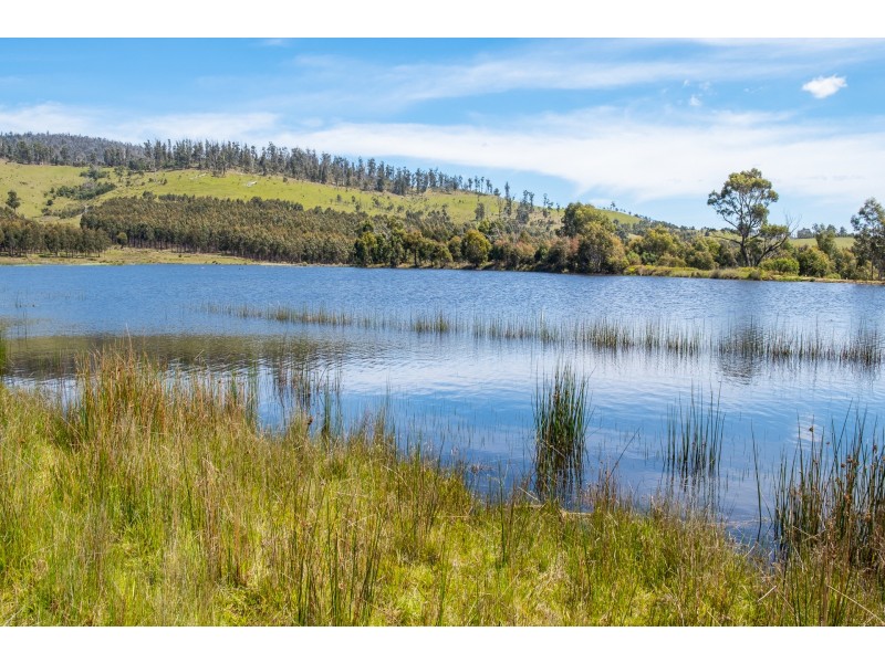 Lot 2 2526 Arthur Highway, Copping TAS 7174