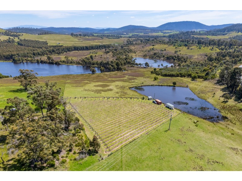 Lot 2 2526 Arthur Highway, Copping TAS 7174