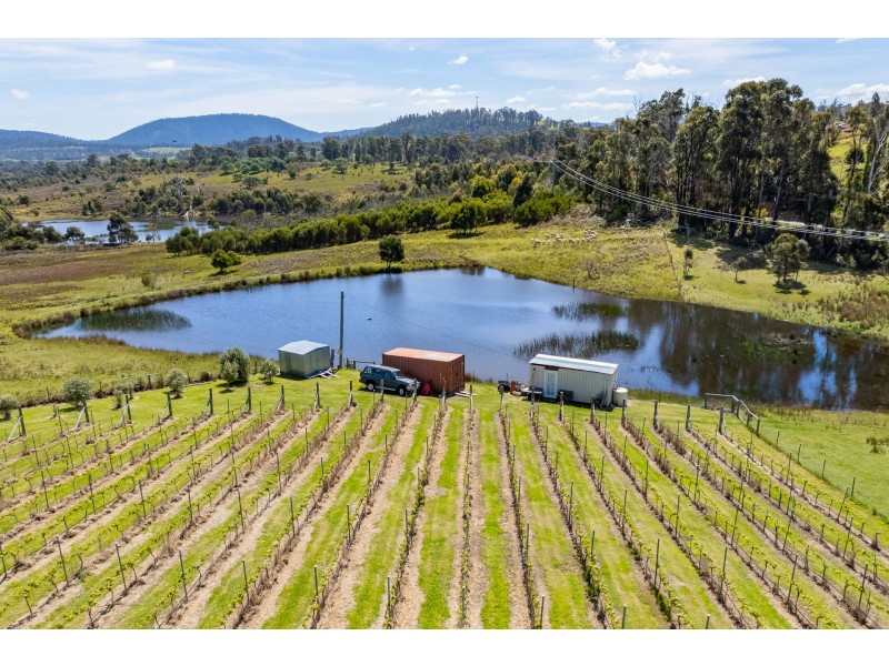 Lot 2 2526 Arthur Highway, Copping TAS 7174