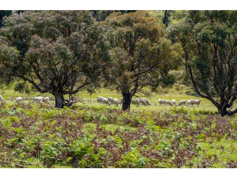 Lot 2 2526 Arthur Highway, Copping TAS 7174