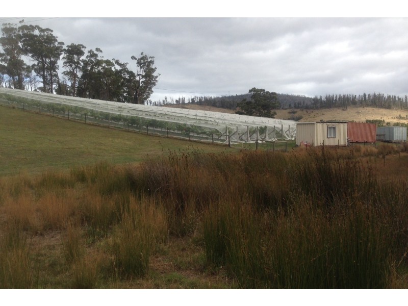 Lot 2 2526 Arthur Highway, Copping TAS 7174