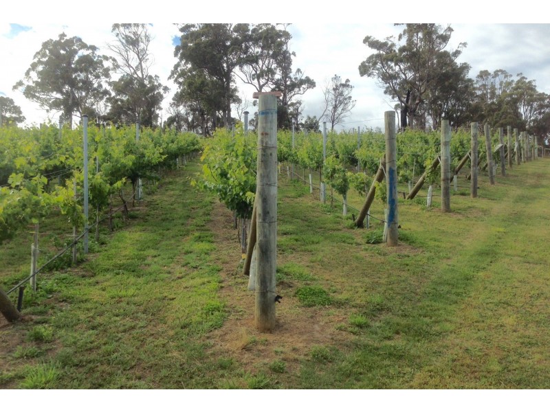 Lot 2 2526 Arthur Highway, Copping TAS 7174