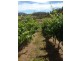 Lot 2 2526 Arthur Highway, Copping TAS 7174