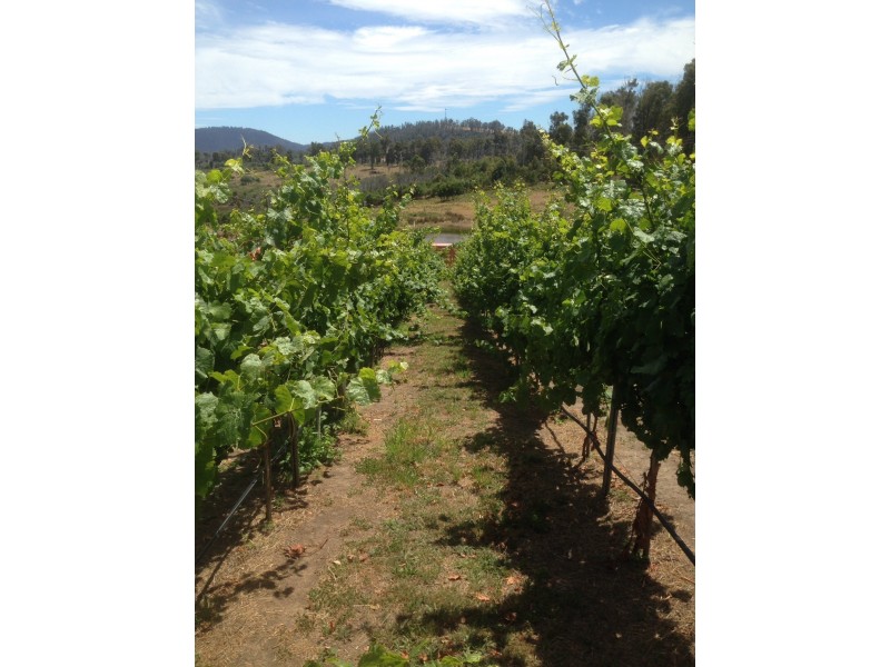 Lot 2 2526 Arthur Highway, Copping TAS 7174