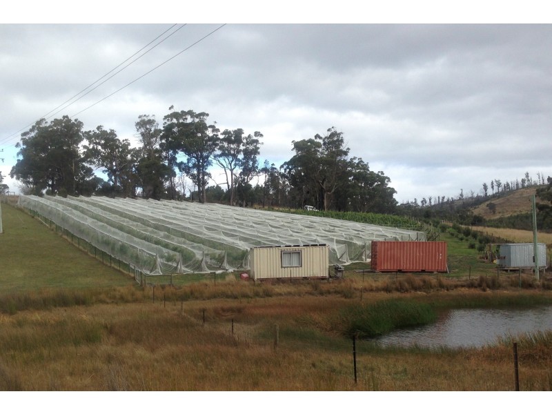 Lot 2 2526 Arthur Highway, Copping TAS 7174