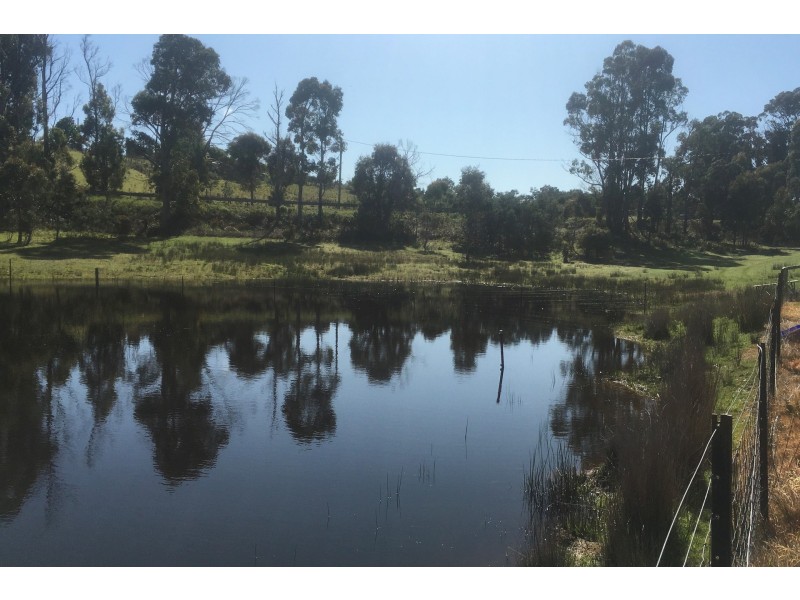 Lot 2 2526 Arthur Highway, Copping TAS 7174