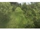 Lot 2 2526 Arthur Highway, Copping TAS 7174