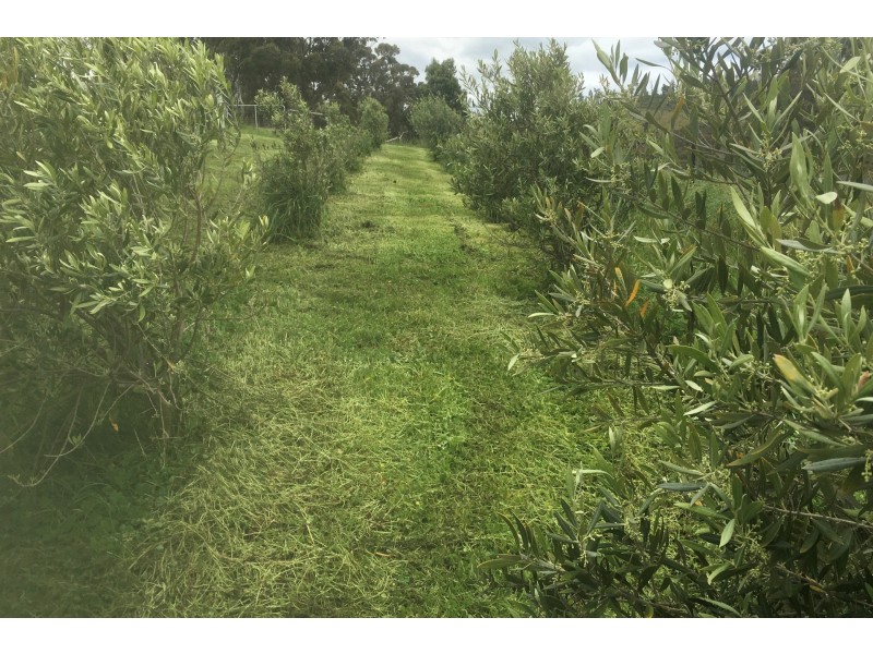 Lot 2 2526 Arthur Highway, Copping TAS 7174