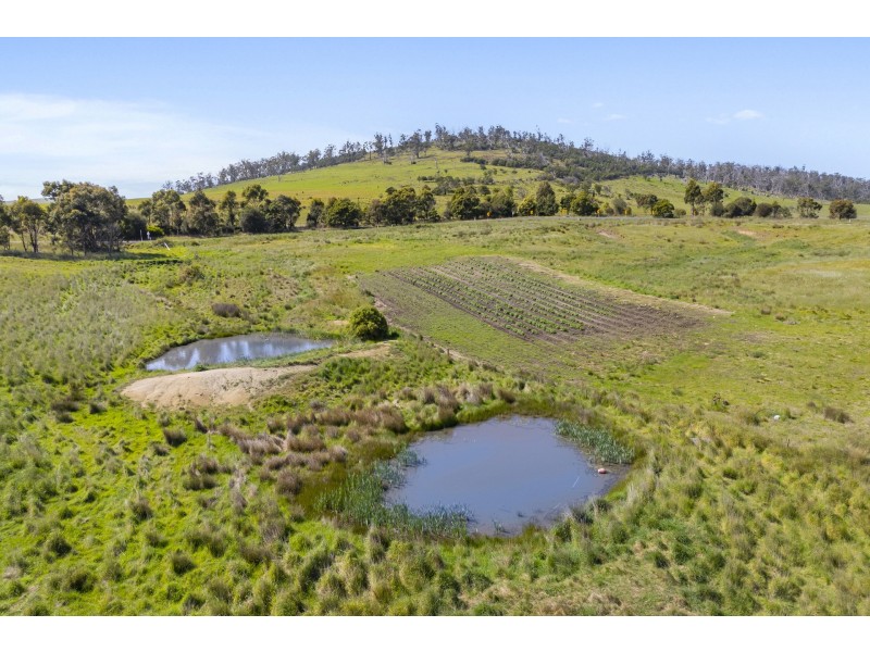 Lot 4/172 Primrose Sands Road, Carlton River TAS 7173