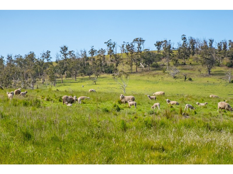 Lot 4/172 Primrose Sands Road, Carlton River TAS 7173