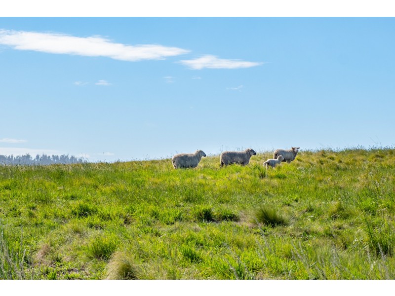 Lot 4/172 Primrose Sands Road, Carlton River TAS 7173