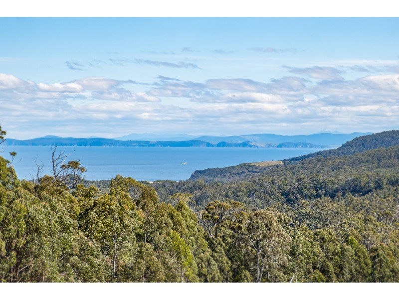 Lot D Hurdle Road, Saltwater River TAS 7186