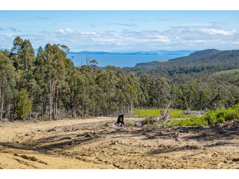 Lot D Hurdle Road, Saltwater River TAS 7186