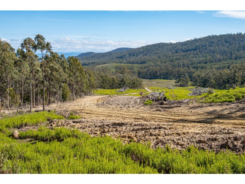 Lot D Hurdle Road, Saltwater River TAS 7186