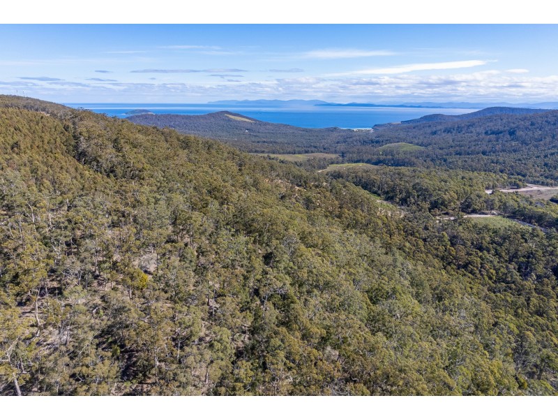 Lot D Hurdle Road, Saltwater River TAS 7186