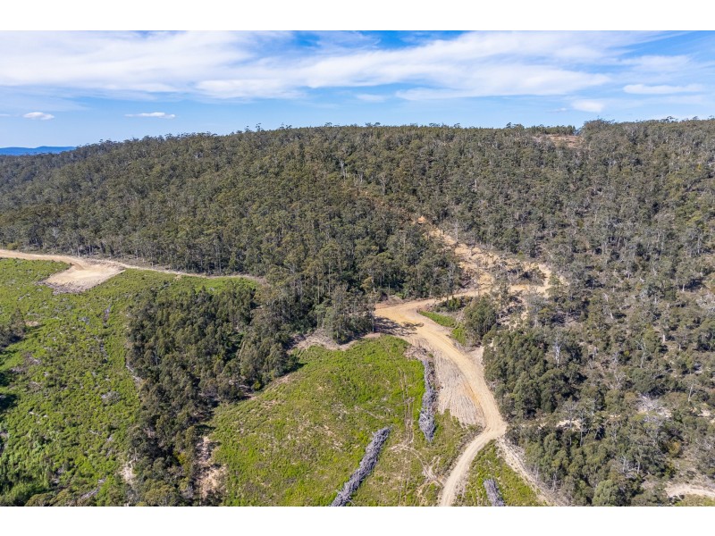 Lot D Hurdle Road, Saltwater River TAS 7186