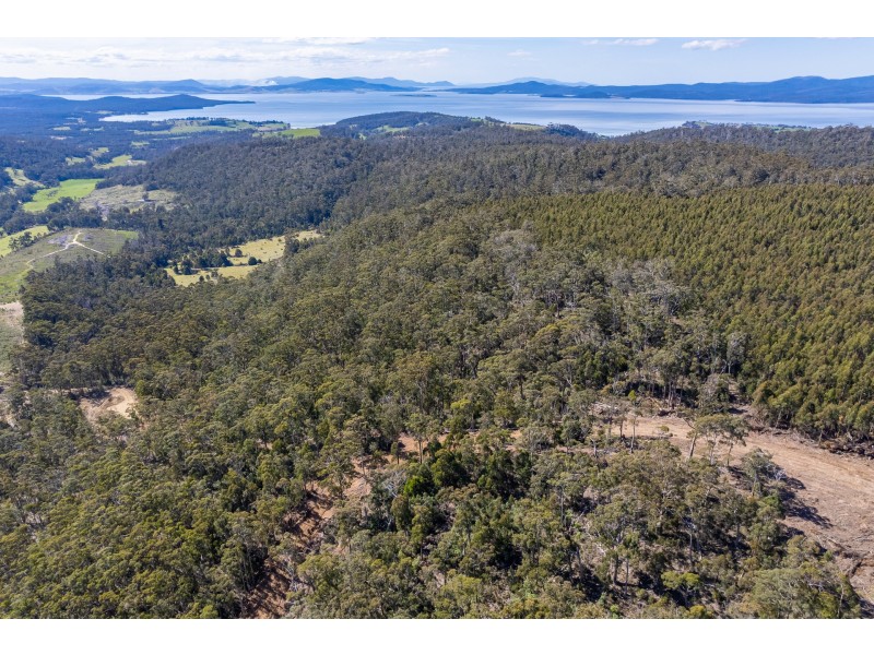 Lot D Hurdle Road, Saltwater River TAS 7186