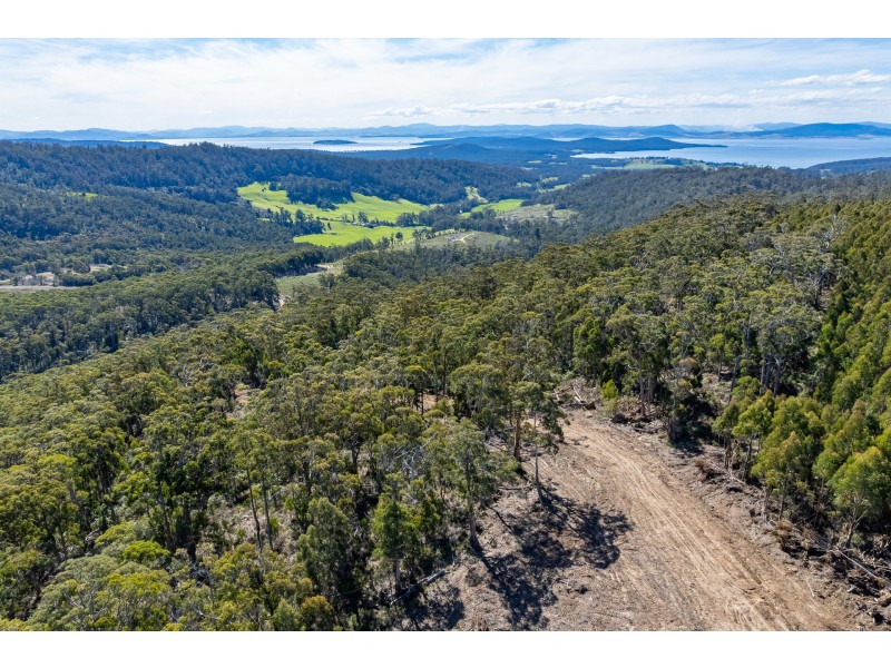 Lot D Hurdle Road, Saltwater River TAS 7186