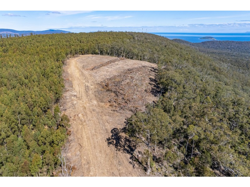Lot D Hurdle Road, Saltwater River TAS 7186
