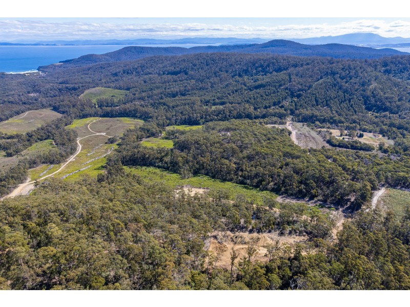 Lot D Hurdle Road, Saltwater River TAS 7186