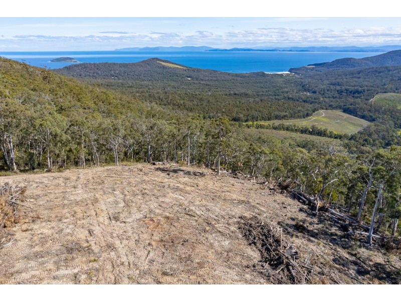 Lot D Hurdle Road, Saltwater River TAS 7186