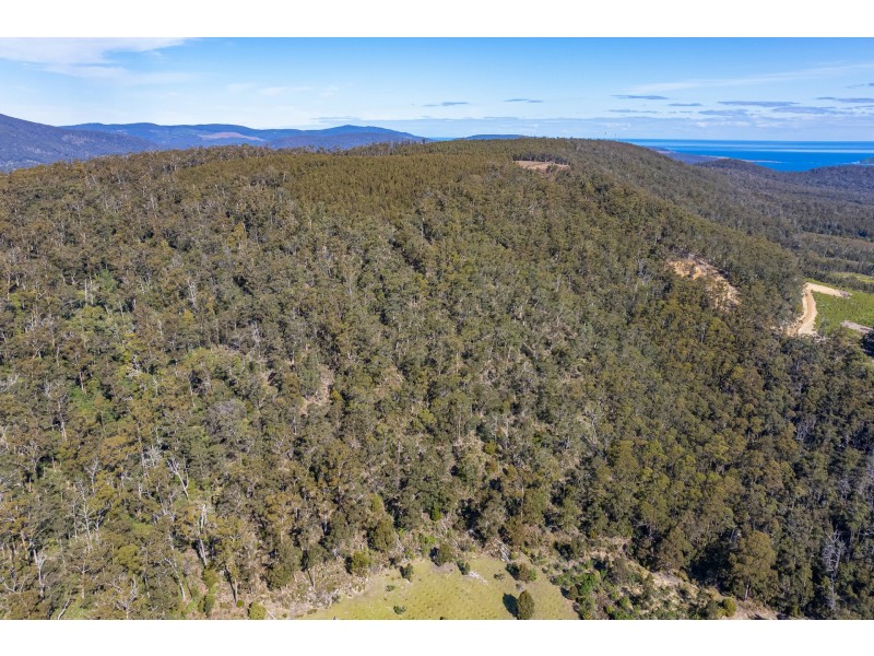 Lot D Hurdle Road, Saltwater River TAS 7186