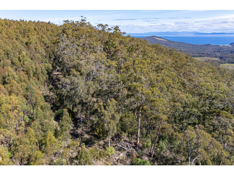 Lot D Hurdle Road, Saltwater River TAS 7186