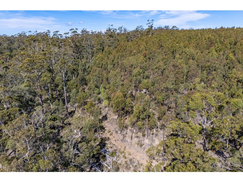 Lot D Hurdle Road, Saltwater River TAS 7186